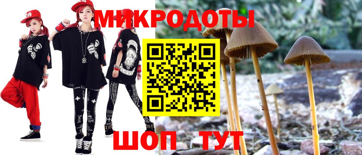 Галлюциногенные грибы Cubensis  Псилоцибиновые грибы прущие грибы  Вход с VPN  Ачинск 